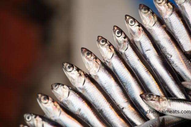 Whole raw bunch of Anchovies